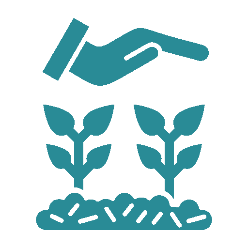 Lush Green Plantation